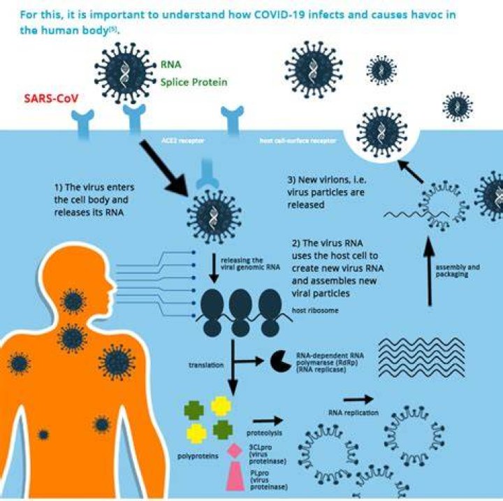 Are mesenchymal stem cells fda approved?