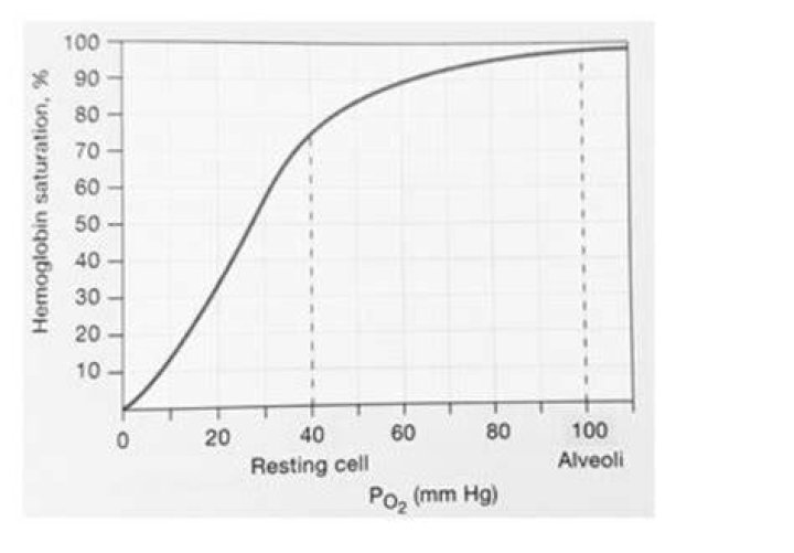 At 40 mmhg po2 the haemoglobin is?