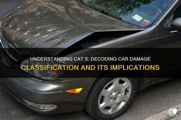 In cars what does cat s mean?
