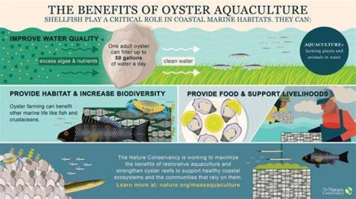 Is aquaculture good for the environment?