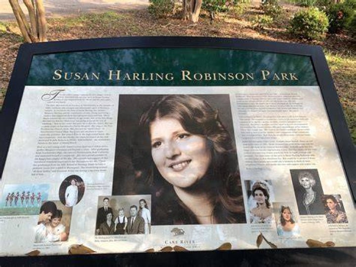 What happened to susan harling robinson husband?