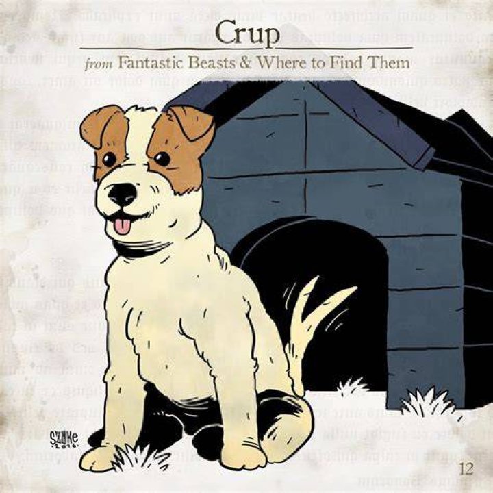 What is a crup harry potter?