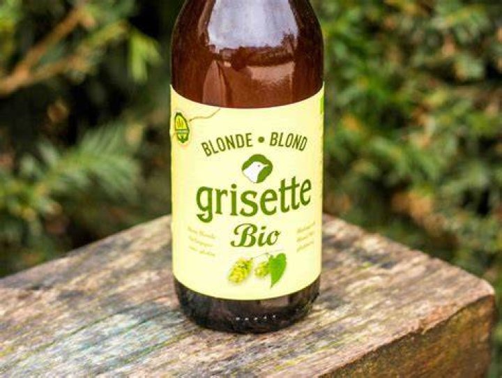 What is a grisette in french?