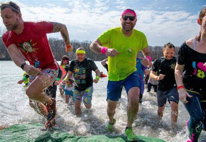 What is a polar plunge?
