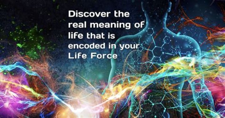 What is life force meaning?