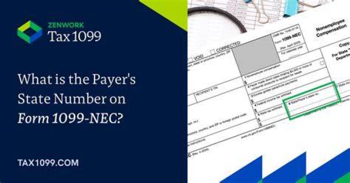 What is payer's state number?