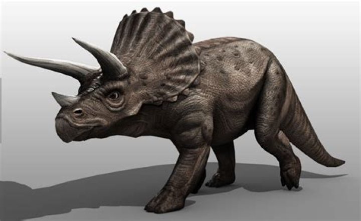 What is the dinosaur with 3 horns called?