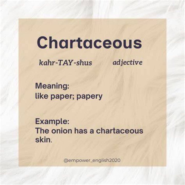 What is the meaning of chartaceous?
