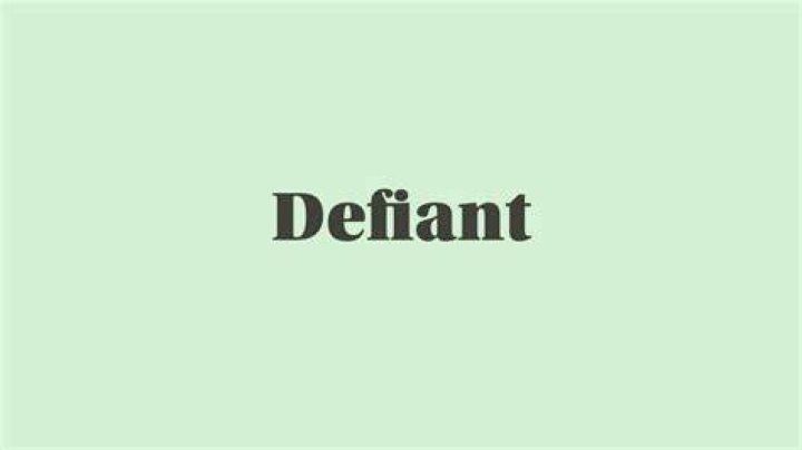 What is the meaning of the word defier?