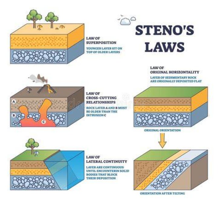 Which is an example of steno's law?