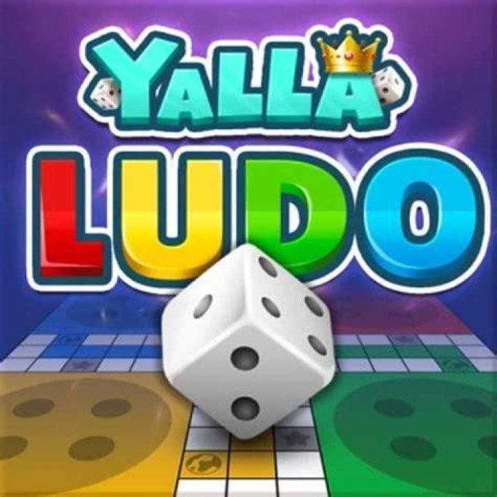 Who is the owner of yalla ludo?