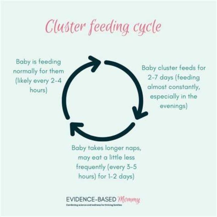 Why does cluster feeding happen at night?